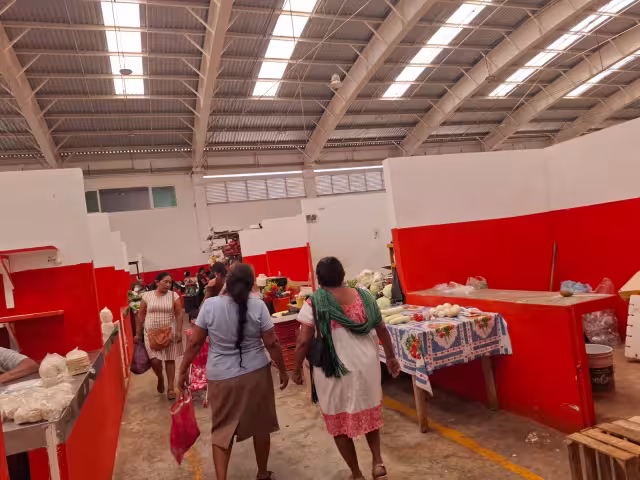 Falta de ventiladores afecta ventas y conservación de alimentos.