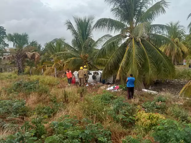 El chofer de la camioneta salió ileso, pero su vehículo quedó en una zona enmalezada