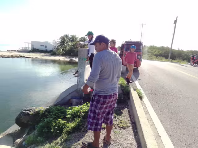 En los últimos días los reptiles se han dejado ver dentro de las rías, áreas donde las personas acuden a pescar o nadar