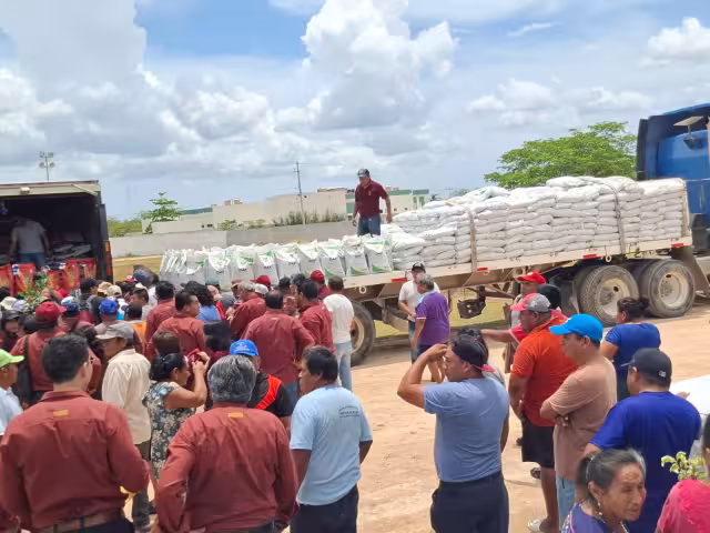 Unos 17 mil productores maiceros de Campeche recibirán semillas y fertilizantes gratuitos para el ciclo agrícola 2026