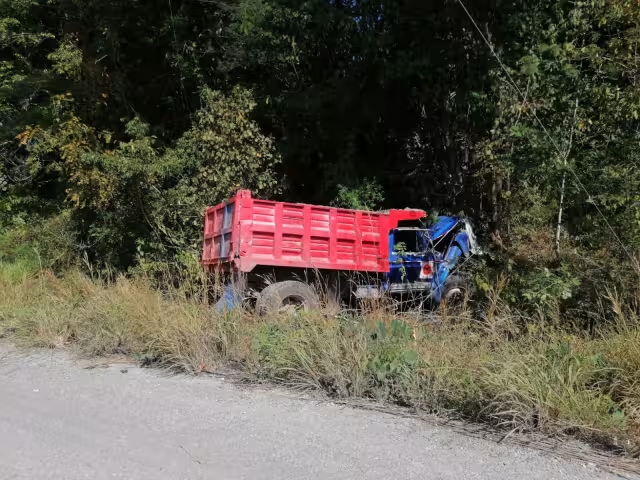 El camión se salió de la carretera y chocó contra un árbol cuando iba con destino a Escárcega