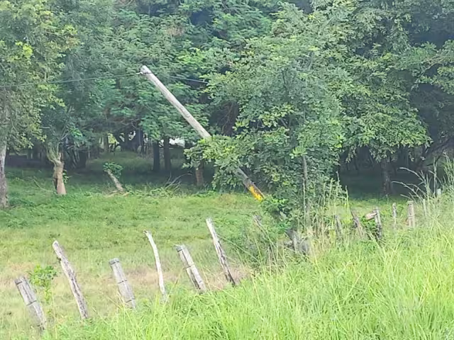 El problema se ubica en la orilla de la carretera federal Escárcega-Villahermosa