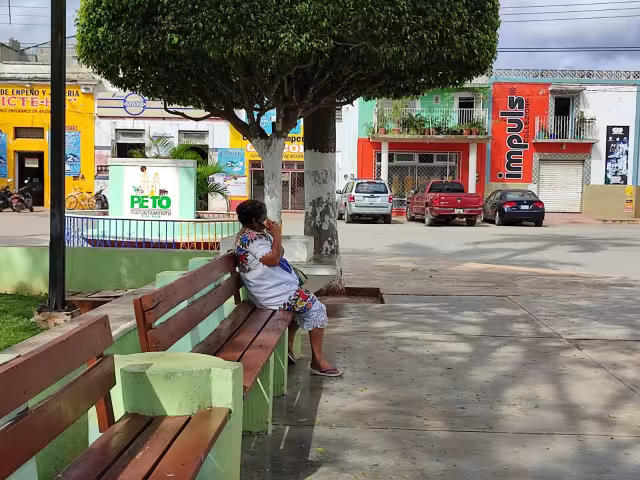 El departamento de Seguridad de Peto pide a los ciudadanos a no caer en los engaños y a denunciar