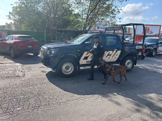 Policías de Playa del Carmen investigan si se trata de un conflicto entre narcomenudistas