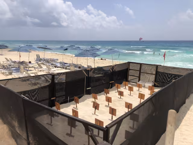 Esta temporada registra un arribo mayor y podría superar las 978 mil 73 crías del año pasado