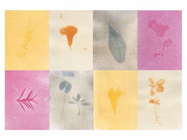 La antotipia se basa en material fotosensible vegetal para revelarse