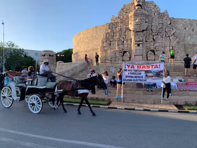 Las rescatistas independientes piden diálogo para la modificación a calesas eléctricas