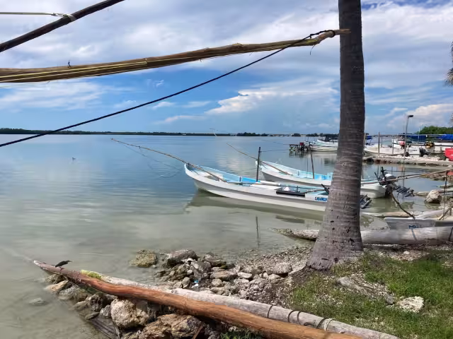 Piden denunciar robos y pesca ilegal de pulpo