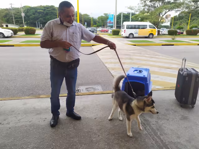 Sin importar si el animal viaja en cabina o jaula se paga la tarifa.