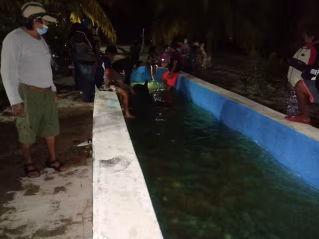 La orca había recalado debido al Frente Frío