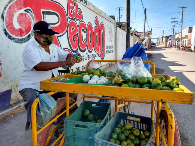 Actualmente el fruto se cotiza a ocho pesos el kilo