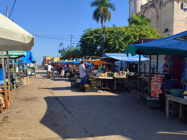Los agricultores indicaron que a pesar de que han subido los costos de la verdura, los clientes la siguen pidiendo