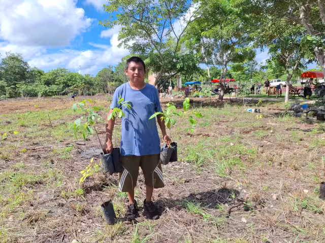 🌱 Campesinos de Campeche reforestan ejidos con miles de árboles para frenar el cambio climático