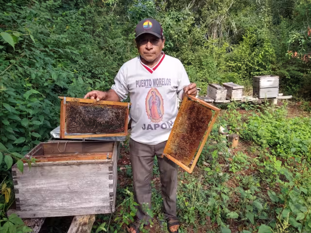 Demetrio Valle perdió la mitad de sus colonias de insectos