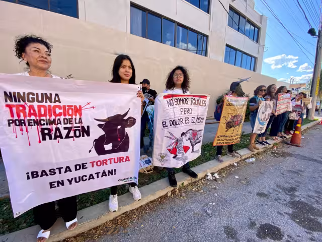 Activistas antitaurinos se manifiestan a las afueras de la Plaza de Toros de Mérida