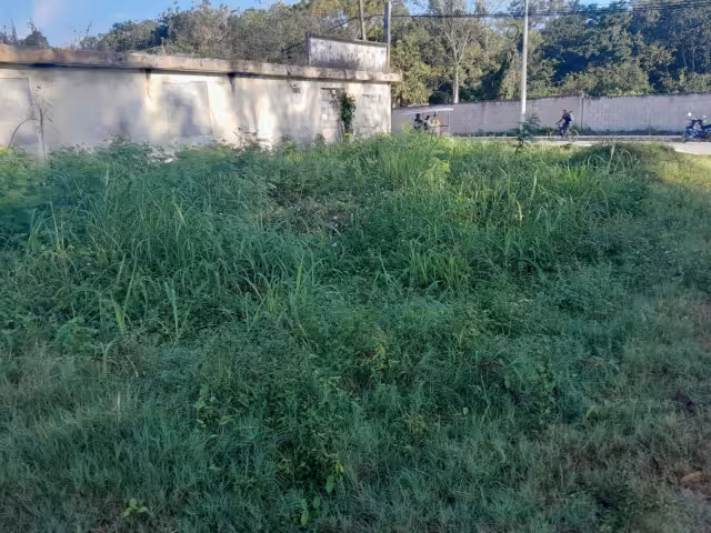 Vecinos piden a las autoridades municipales que obliguen a los dueños a mantener limpio el predio