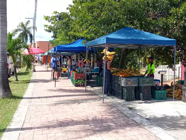 Desde las 3 de la mañana instalan sus puestos para abastecer a quienes buscan productos recién cosechados.