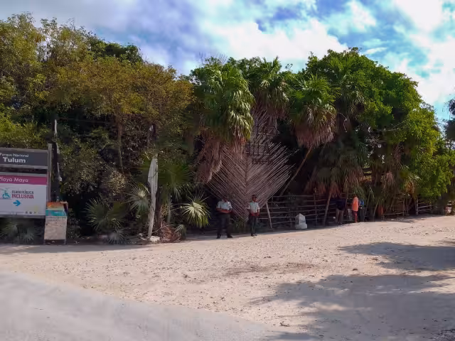 Punta Piedra en Tulum se nota descuidada con exceso de sargazo