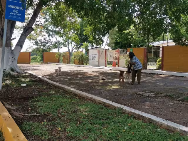 Este nuevo hecho se suma a una querella previa presentada en marzo de 2024 por la misma activista, Lucy López.