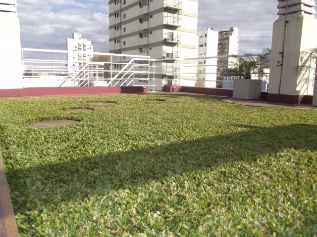 Los techos verdes son útiles debido al calor de Yucatán