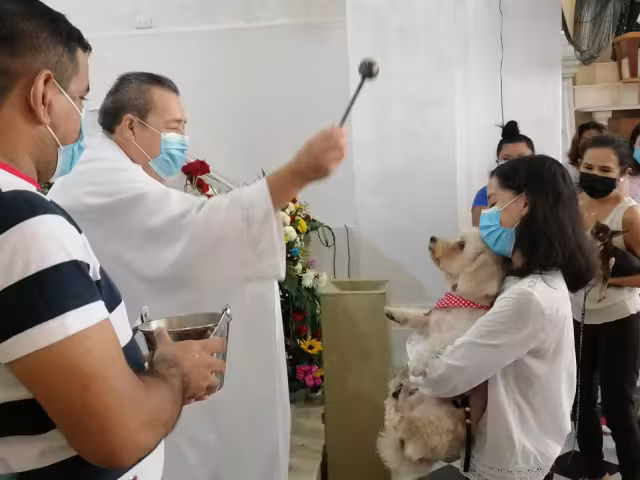 Los feligreses que acudieron al santuario Mariano entienden que las mascotas jamás suplirán el cariño y afecto de un familiar