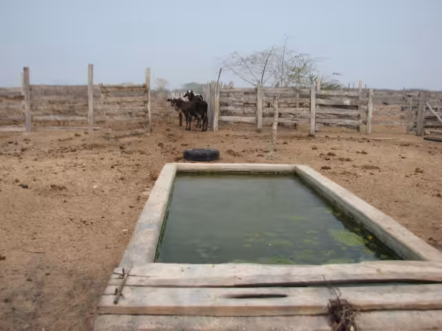 Al cierre de 2020 la SDR reportó que se crearon mil 200 jagüeyes en el estado