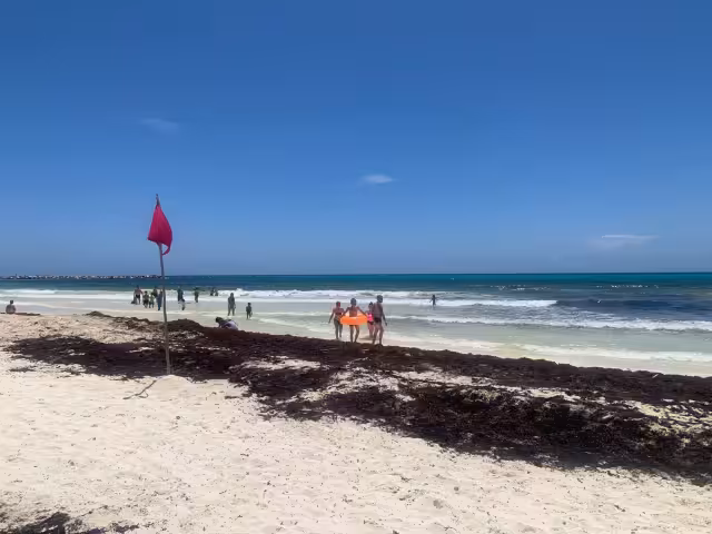 El sargazo ha causado afectaciones en playas de Cancún