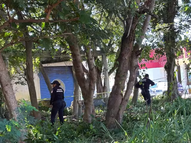 Hallan cuerpo en descomposición en lote baldío de la Col. Barrio Bravo