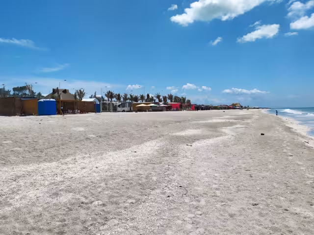 Las dunas funcionan como área de reproducción de tortugas marinas y al desaparecer, su reproducción peligra