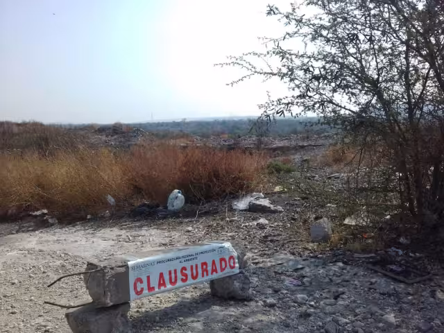 Hasta el momento en la Península se han clausurado cinco espacios de crianza de puercos