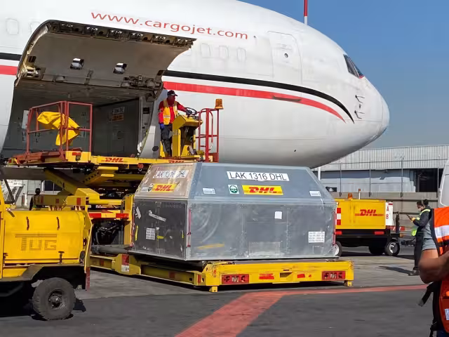 Llegaron al AICM 585 mil dosis de la vacuna de Pfizer contra el COVID19.