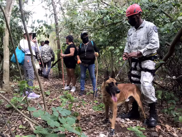 El subsidio Federal será transferido a Quintana Roo; en tanto que el Gobierno local coparticipará con 1.5 mdp