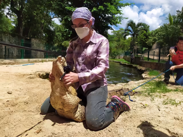 La agrupación COMAFFAS A.C. de Chiapas avaló este taller impartido por Domínguez Laso