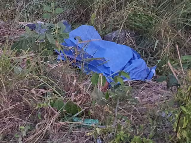 El conductor de la motocicleta murió en la zona del accidente, cerca del entronque para ir a la comunidad 'Álvaro Obregón Nuevo' al Sur de Quintana Roo