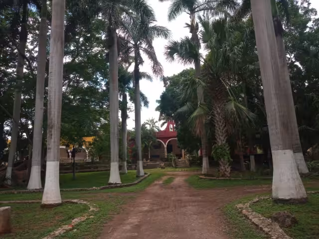Actualmente la hacienda Blanca Flor se convirtió en hotel y comedor para alojar turistas que desean conocer su historia