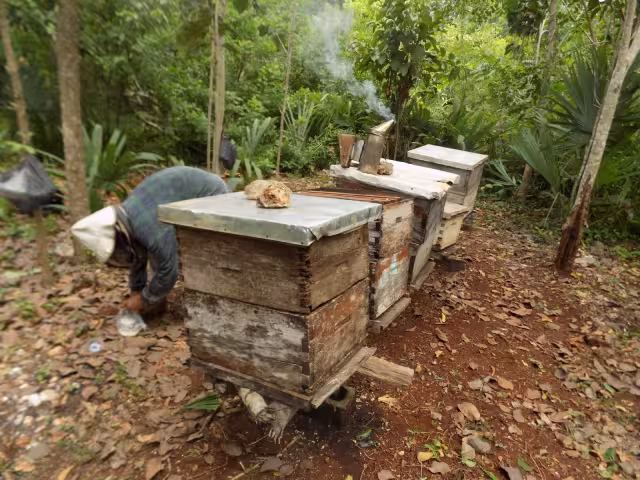 Algunos apicultores aprovechan las redes sociales para comercializar el néctar