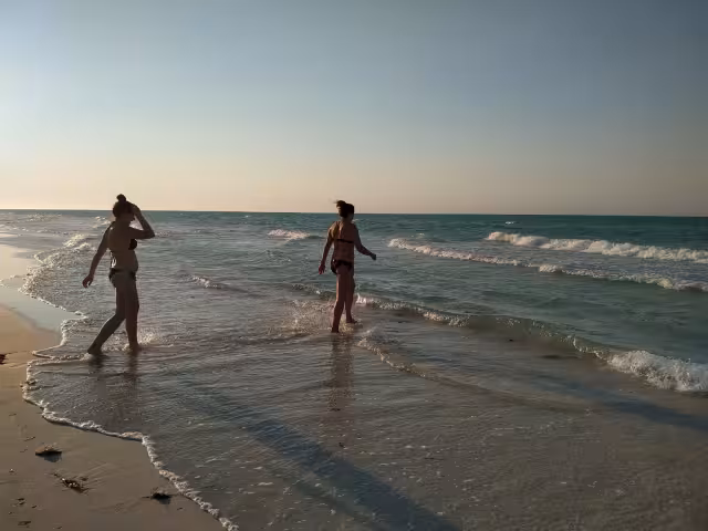 Cancunito es considerada como una playa virgen que cobija infinidad de fauna y vegetación
