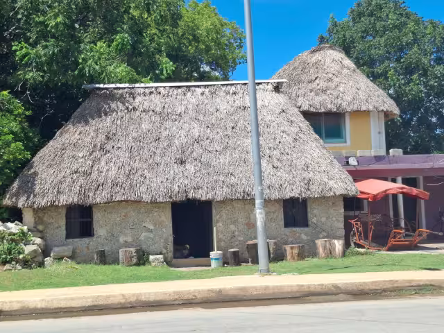 En Pomuch, Hecelchakán, construir un jacal de palma de huano cuesta alrededor de 40 mil pesos.