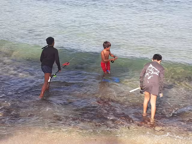 La pesca con Arpón es una actividad prohibida desde hace muchos años por las Normas Oficiales Mexicanas