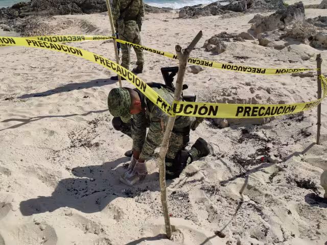 En lo que va del mes suman dos recales en esa zona de playa.