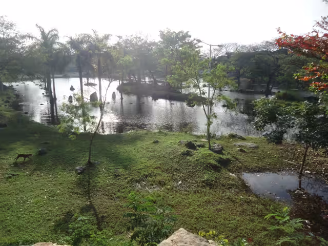 Con este gran pulmón se pretende mejorar las condiciones ambientales, sociales, patrimoniales y de movilidad urbana del entorno