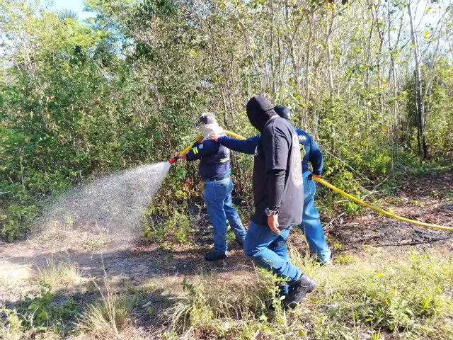Representante de la Zona Agrícola expuso la presunta falta de coordinación para actuar en casos de siniestros como este