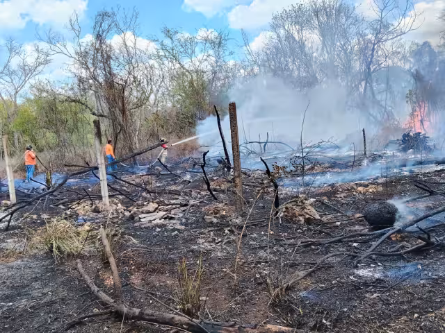 En 2024 se atendieron alrededor de 183 incendios en el municipio.