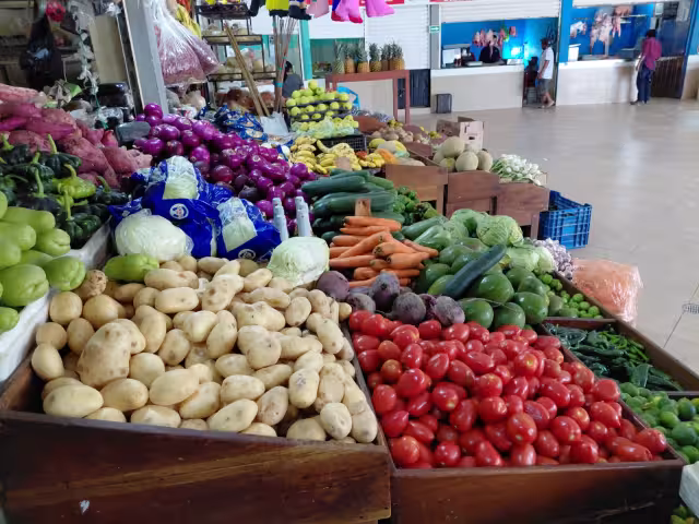 Papa se dispara 40% y chile habanero llega a 80 pesos en mercado de Hopelchén