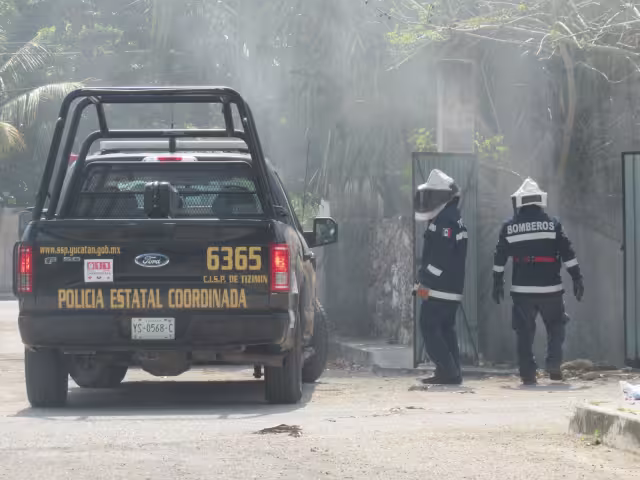 Debido al Sol y al calor los animales se alborotaron e invadieron los predios cercanos