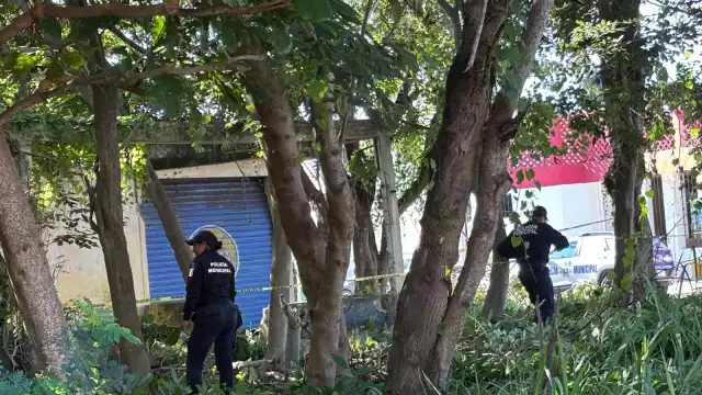 Hallan cuerpo en descomposición en lote baldío de la Col. Barrio Bravo