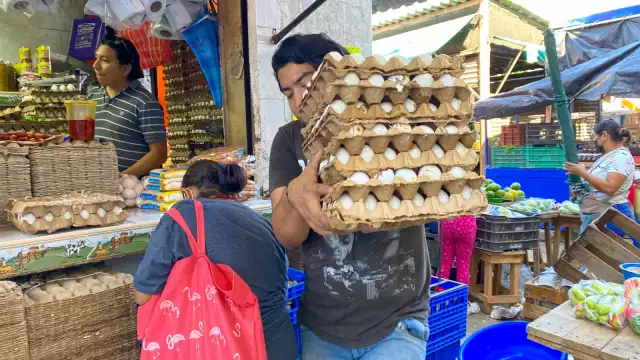 El líder de la asociación afirmó que el problema que afectó a los avicultores ya está superado; salubridad levantó la cuarentena