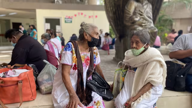 Los datos justifican la iniciativa entregada por el diputado local Gaspar Quintal Parra