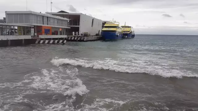 En algunos casos, se detienen las operaciones de embarcaciones de gran tamaño, como los ferrys en Cozumel