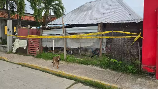 Durante la madrugada, autoridades realizaron un cateo en Palizada.